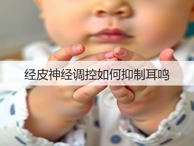 经皮神经调控如何抑制耳鸣(图2) 经皮神经调控如何抑制耳鸣(图2)