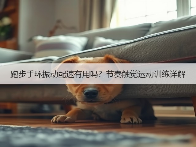 跑步手环振动配速有用吗？节奏触觉运动训练详解(图1)