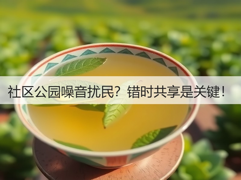 社区公园噪音扰民？错时共享是关键！