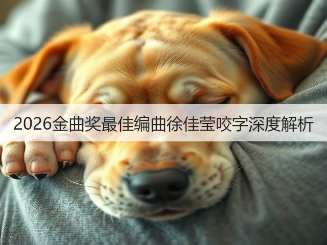 2026金曲奖最佳编曲徐佳莹咬字深度解析(图3)