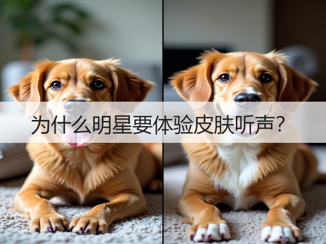 为什么明星要体验皮肤听声?(图3) 为什么明星要体验皮肤听声?(图3)