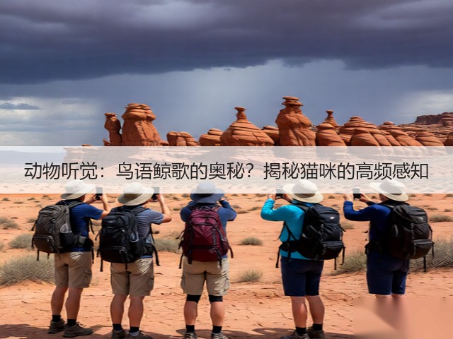 动物听觉:鸟语鲸歌的奥秘?揭秘猫咪的高频感知(图1) 动物听觉:鸟语鲸歌的奥秘?揭秘猫咪的高频感知(图1)