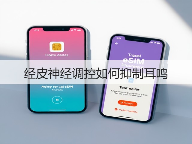 经皮神经调控如何抑制耳鸣(图1) 经皮神经调控如何抑制耳鸣(图1)