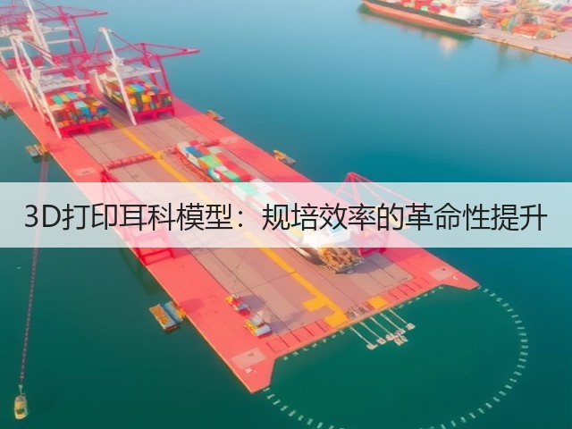 3D打印耳科模型:规培效率的革命性提升(图1) 3D打印耳科模型:规培效率的革命性提升(图1)