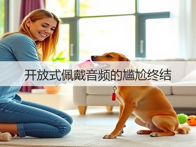 开放式佩戴音频的尴尬终结(图2)