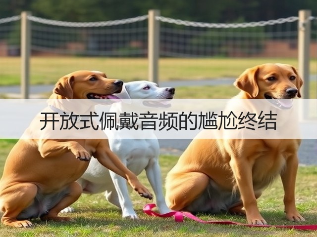 开放式佩戴音频的尴尬终结(图3)
