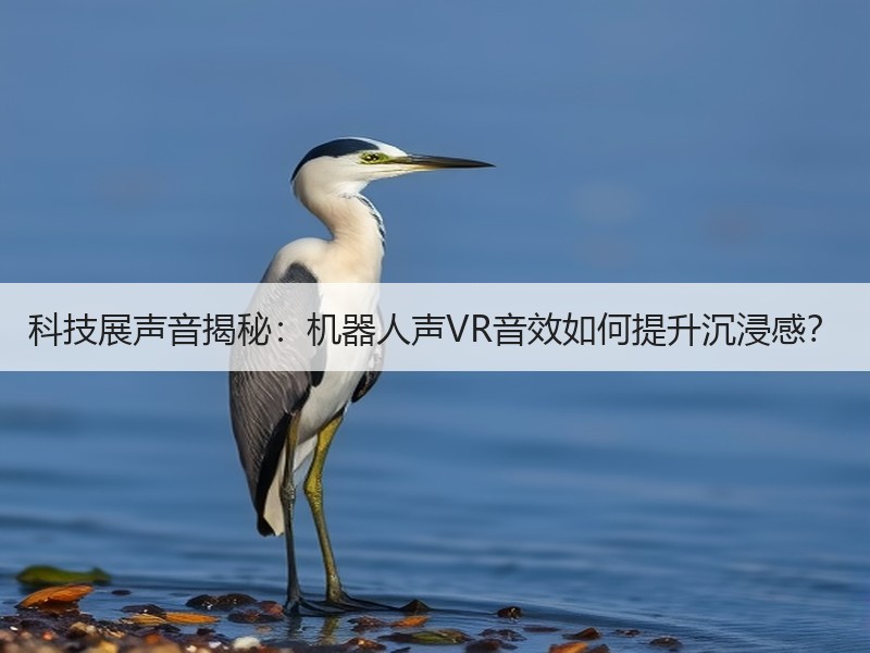 科技展声音揭秘：机器人声VR音效如何提升沉浸感？