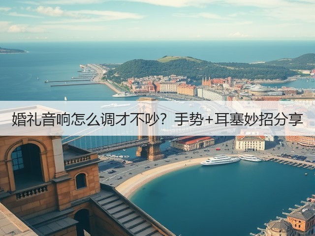 婚礼音响怎么调才不吵?手势+耳塞妙招分享(图5) 婚礼音响怎么调才不吵?手势+耳塞妙招分享(图5)