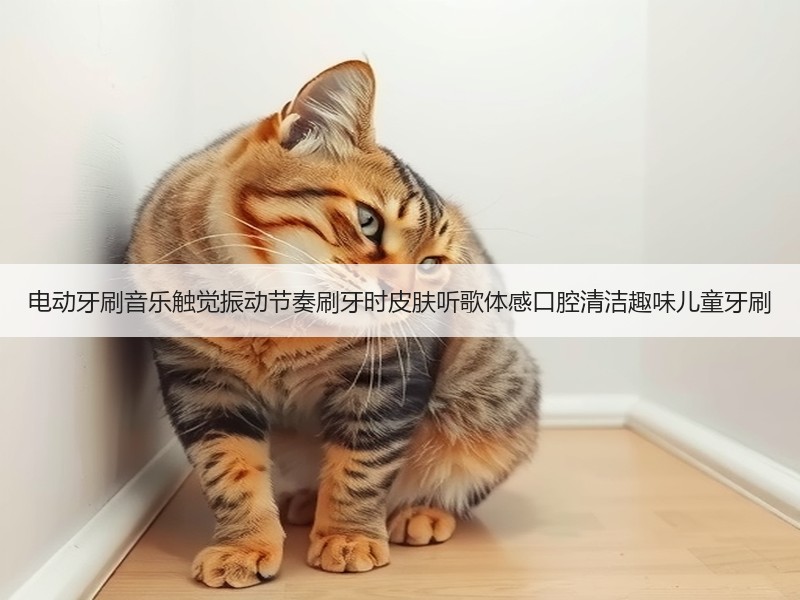 电动牙刷音乐触觉振动节奏刷牙时皮肤听歌体感口腔清洁趣味儿童牙刷
