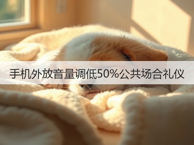 手机外放音量调低50%公共场合礼仪(图4) 手机外放音量调低50%公共场合礼仪(图4)