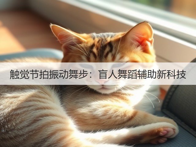 触觉节拍振动舞步:盲人舞蹈辅助新科技(图2) 触觉节拍振动舞步:盲人舞蹈辅助新科技(图2)