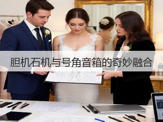 胆机石机与号角音箱的奇妙融合(图3)