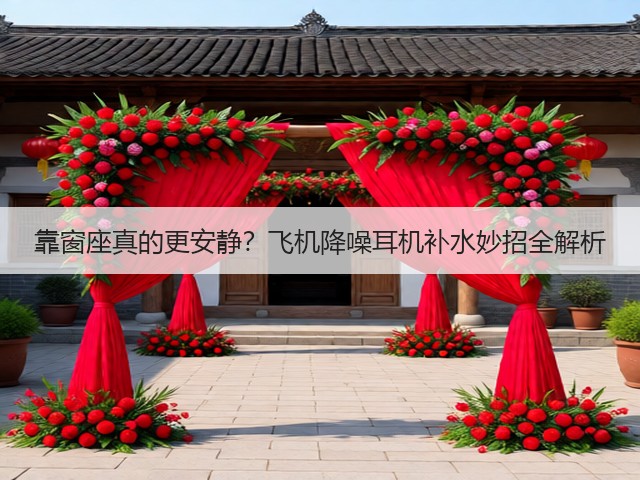 靠窗座真的更安静?飞机降噪耳机补水妙招全解析(图4) 靠窗座真的更安静?飞机降噪耳机补水妙招全解析(图4)