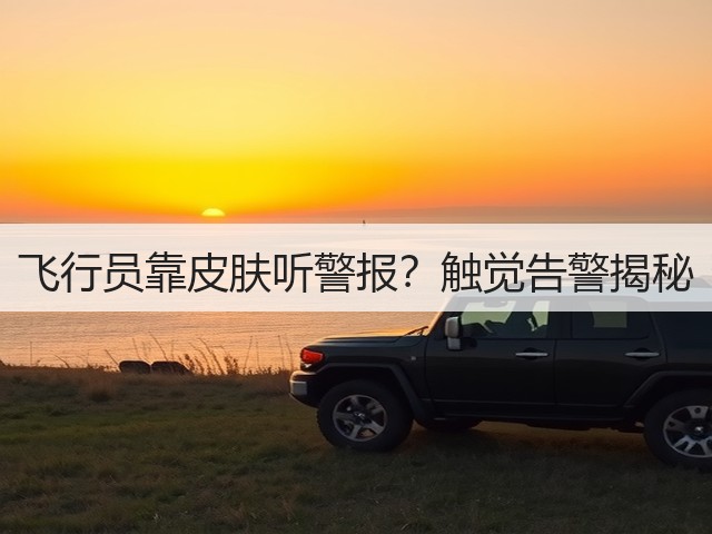 飞行员靠皮肤听警报？触觉告警揭秘(图6)