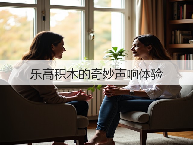 乐高积木的奇妙声响体验(图2)