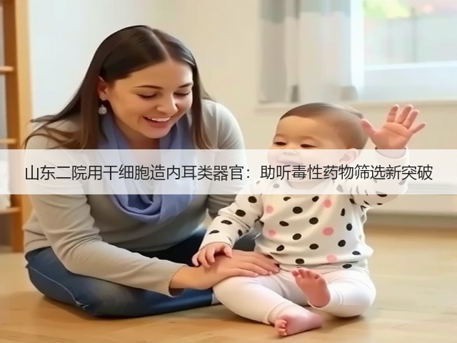 山东二院用干细胞造内耳类器官:助听毒性药物筛选新突破(图3) 山东二院用干细胞造内耳类器官:助听毒性药物筛选新突破(图3)