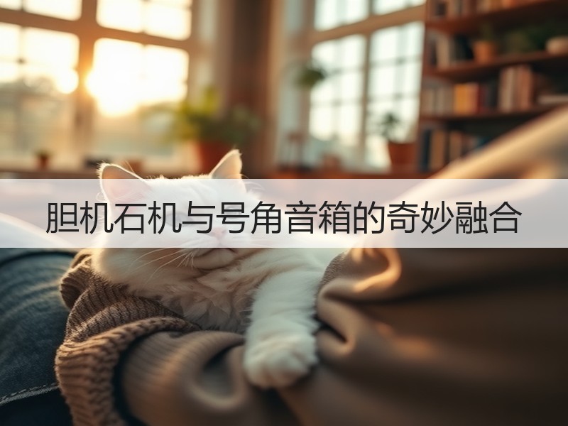 胆机石机与号角音箱的奇妙融合