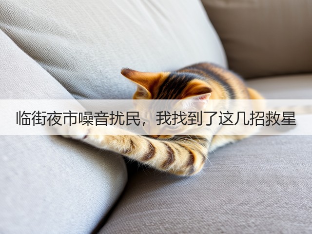 临街夜市噪音扰民,我找到了这几招救星(图3) 临街夜市噪音扰民,我找到了这几招救星(图3)
