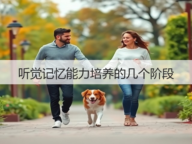 听觉记忆能力培养的几个阶段(图2) 听觉记忆能力培养的几个阶段(图2)