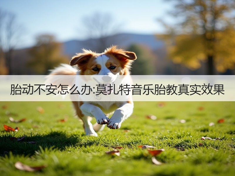胎动不安怎么办:莫扎特音乐胎教真实效果