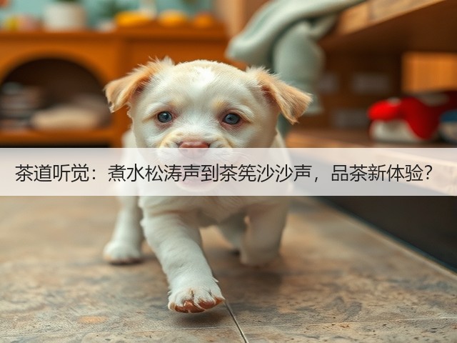 茶道听觉:煮水松涛声到茶筅沙沙声,品茶新体验?(图3) 茶道听觉:煮水松涛声到茶筅沙沙声,品茶新体验?(图3)