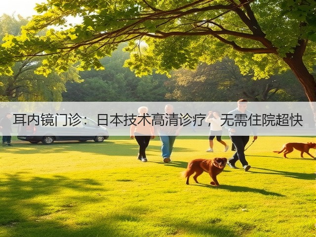 耳内镜门诊:日本技术高清诊疗,无需住院超快(图3) 耳内镜门诊:日本技术高清诊疗,无需住院超快(图3)
