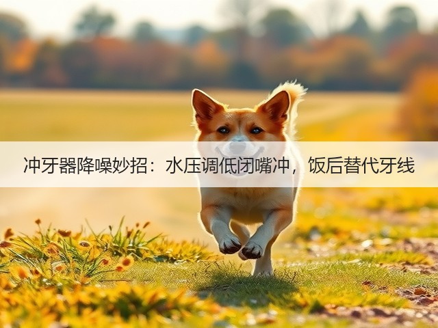 冲牙器降噪妙招:水压调低闭嘴冲,饭后替代牙线(图1) 冲牙器降噪妙招:水压调低闭嘴冲,饭后替代牙线(图1)