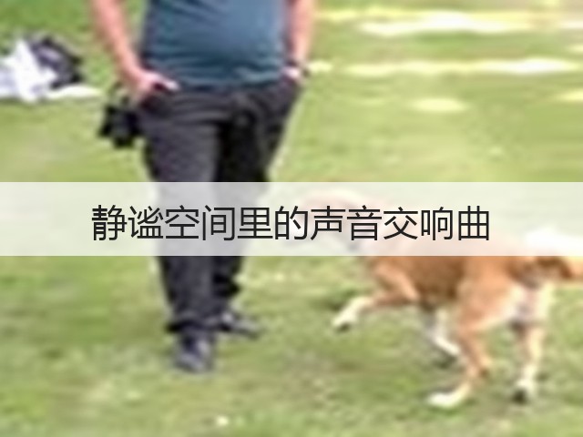 静谧空间里的声音交响曲(图3)