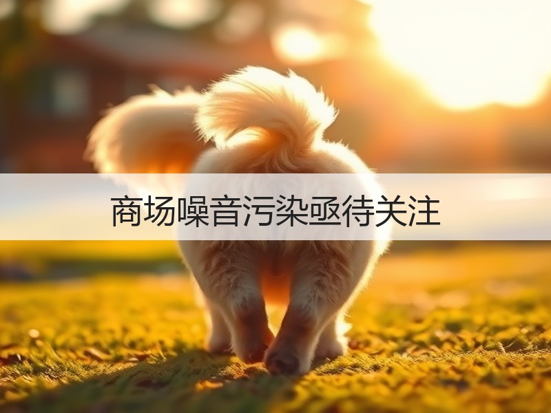 商场噪音污染亟待关注