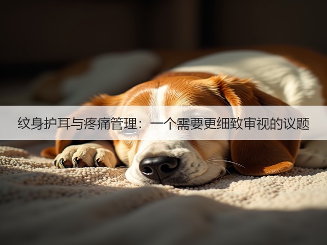 纹身护耳与疼痛管理:一个需要更细致审视的议题(图1) 纹身护耳与疼痛管理:一个需要更细致审视的议题(图1)