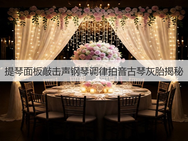 提琴面板敲击声钢琴调律拍音古琴灰胎揭秘(图3)