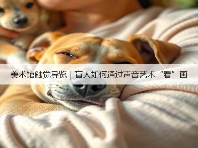 美术馆触觉导览|盲人如何通过声音艺术“看”画(图1) 美术馆触觉导览|盲人如何通过声音艺术“看”画(图1)
