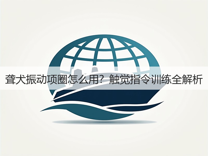 聋犬振动项圈怎么用？触觉指令训练全解析