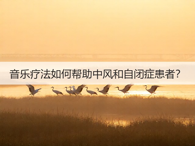 音乐疗法如何帮助中风和自闭症患者?(图3) 音乐疗法如何帮助中风和自闭症患者?(图3)