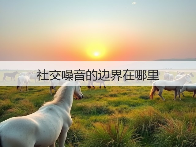 社交噪音的边界在哪里(图2)