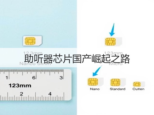 助听器芯片国产崛起之路(图2)