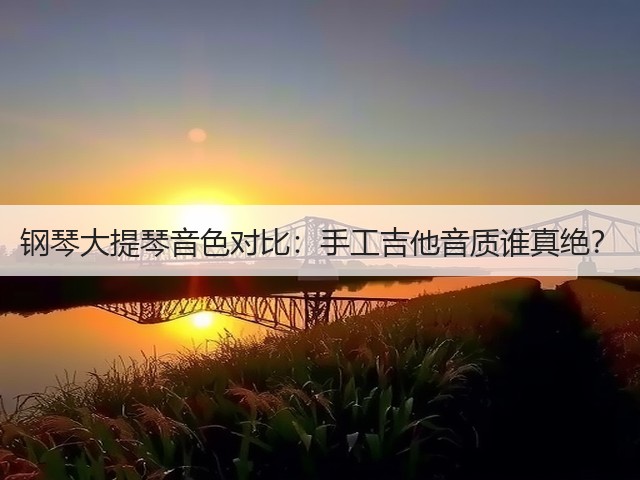钢琴大提琴音色对比:手工吉他音质谁真绝?(图2) 钢琴大提琴音色对比:手工吉他音质谁真绝?(图2)