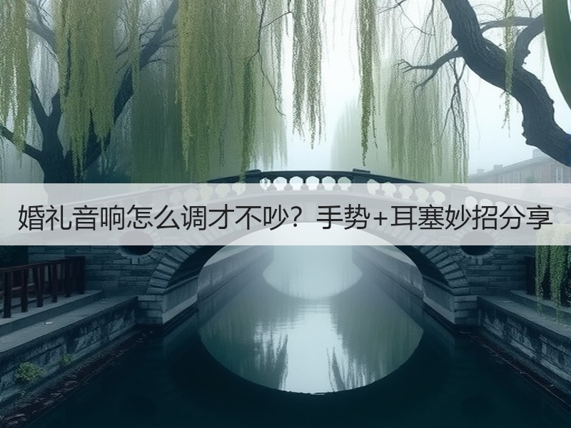 婚礼音响怎么调才不吵？手势+耳塞妙招分享