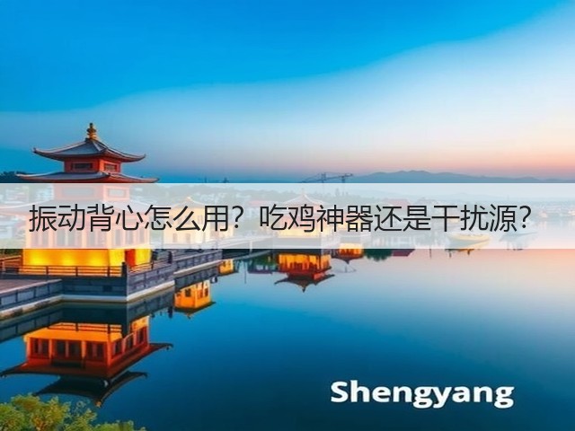 振动背心怎么用？吃鸡神器还是干扰源？(图2)