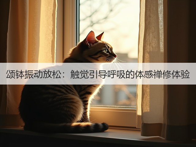 颂钵振动放松:触觉引导呼吸的体感禅修体验(图6) 颂钵振动放松:触觉引导呼吸的体感禅修体验(图6)