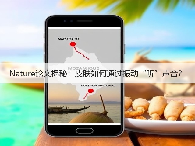 Nature论文揭秘:皮肤如何通过振动“听”声音?(图1) Nature论文揭秘:皮肤如何通过振动“听”声音?(图1)