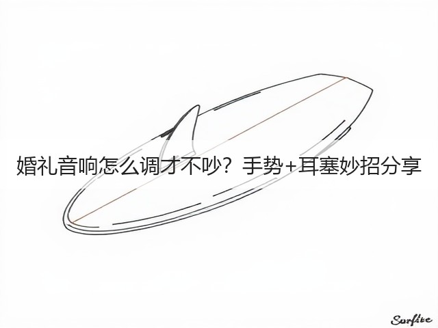 婚礼音响怎么调才不吵?手势+耳塞妙招分享(图2) 婚礼音响怎么调才不吵?手势+耳塞妙招分享(图2)
