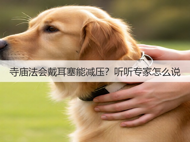 寺庙法会戴耳塞能减压?听听专家怎么说(图6) 寺庙法会戴耳塞能减压?听听专家怎么说(图6)