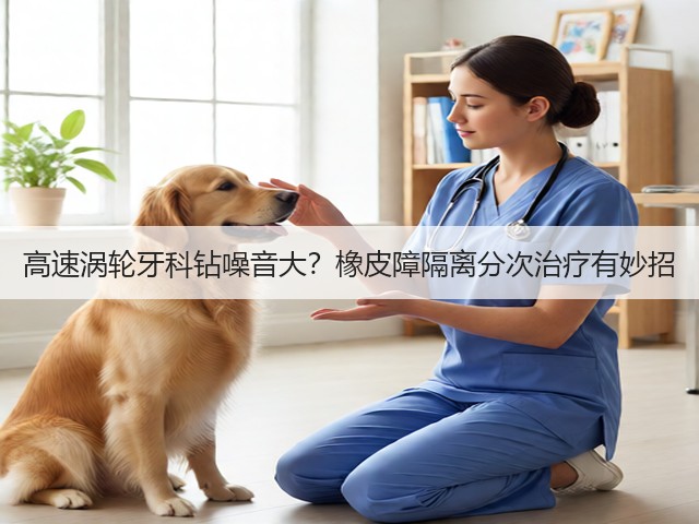 高速涡轮牙科钻噪音大？橡皮障隔离分次治疗有妙招(图3)