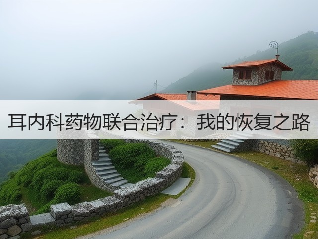 耳内科药物联合治疗:我的恢复之路(图2) 耳内科药物联合治疗:我的恢复之路(图2)