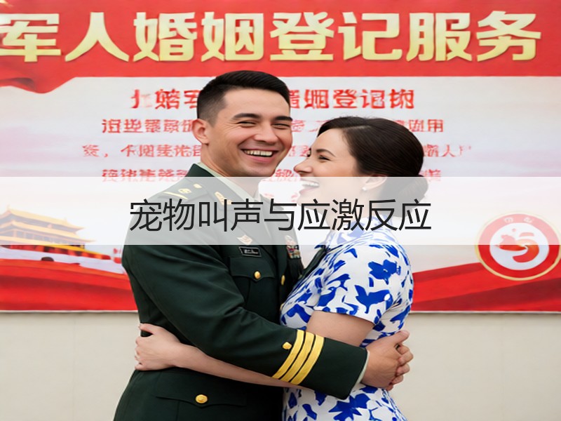 宠物叫声与应激反应