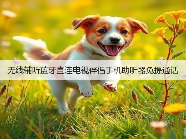 无线辅听蓝牙直连电视伴侣手机助听器免提通话(图3) 无线辅听蓝牙直连电视伴侣手机助听器免提通话(图3)