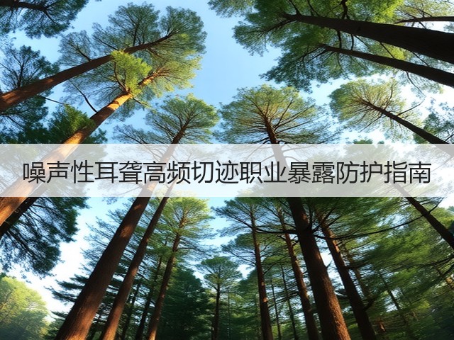 噪声性耳聋高频切迹职业暴露防护指南(图2) 噪声性耳聋高频切迹职业暴露防护指南(图2)