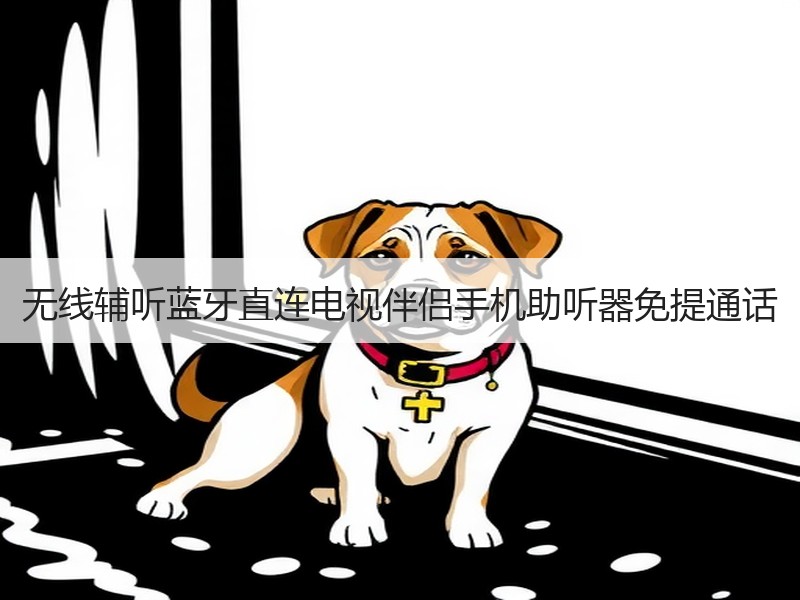 无线辅听蓝牙直连电视伴侣手机助听器免提通话