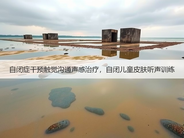 自闭症干预触觉沟通声感治疗,自闭儿童皮肤听声训练(图6) 自闭症干预触觉沟通声感治疗,自闭儿童皮肤听声训练(图6)
